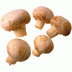 des champignons